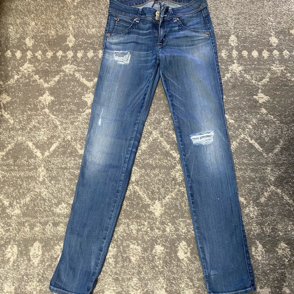 Hudson Jeans Blue Skinny Denim